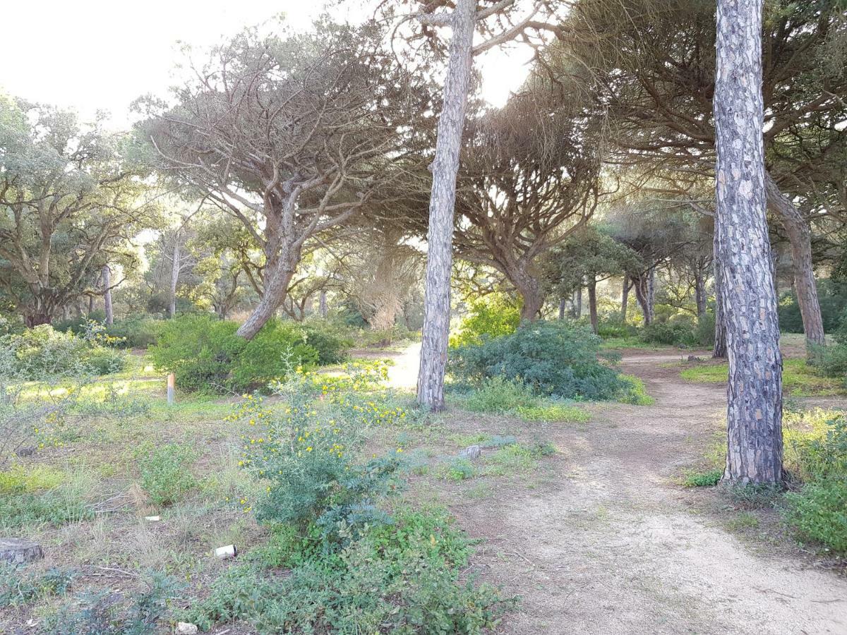Apartamento Pinar Del Atlantico-La Barrosa Chiclana de la Frontera Exteriör bild